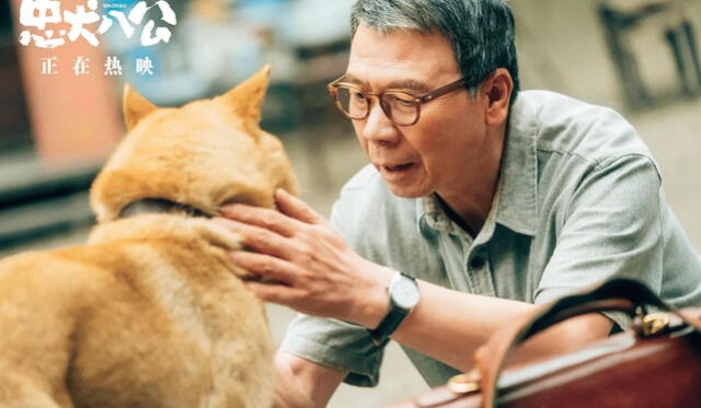 'Hachiko 2: siempre a tu lado': la película está en los cines a nivel nacional. Foto: 'Hachiko 2: siempre a tu lado'   