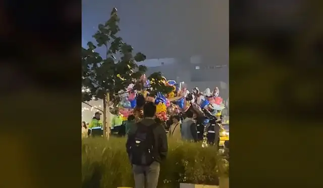 Clip es viral en redes. Foto: TikTok Clip es viral en redes. Foto: TikTok