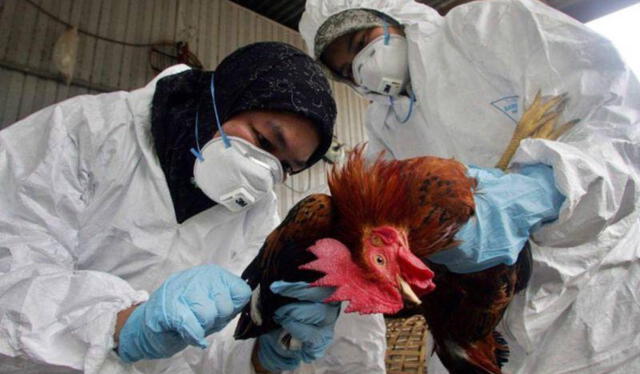  Estado de México respondió ante las acusaciones de la OMS. Foto: El Heraldo   