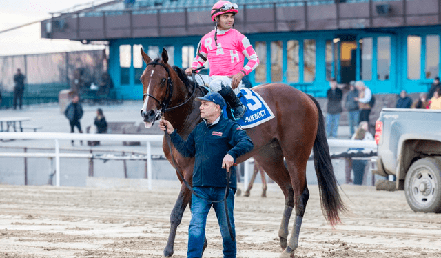 Luis Sáez estará a la monta de Dornoch en el Belmont Stakes 2024. Foto: NYRA   