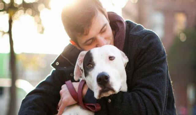  Según un estudio, a los perros no le gustan los abrazos. Foto: Televen   