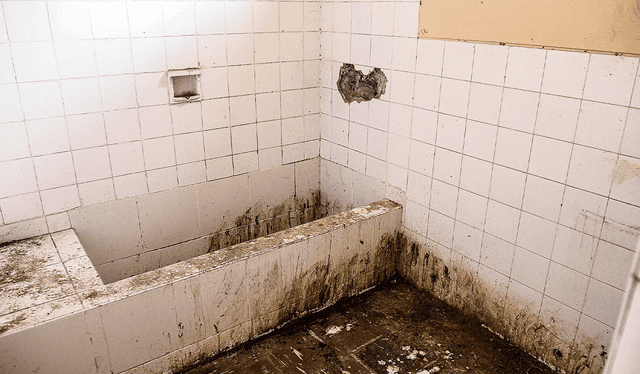  Sucio. El moho se apoderó de baños y duchas de lo que se pensó que iba a ser un gran proyecto habitacional. Foto: John Reyes / La República   