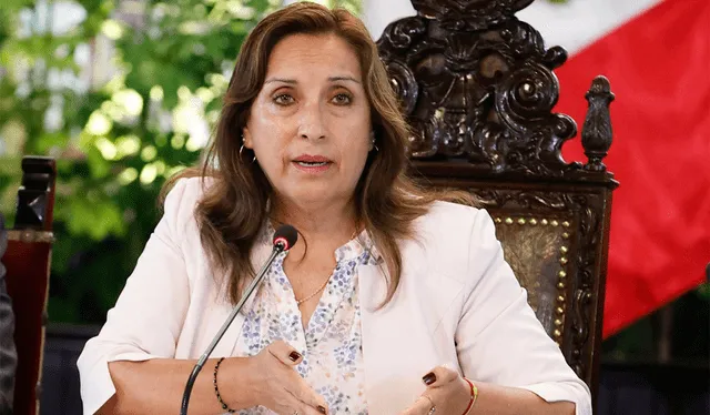  La presidenta Dina Boluarte será denunciada ante la Corte Penal Internacional. Foto: difusión   