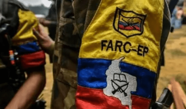  De alguna u otra forma, las FARC ayudaron a proteger las palmas de cera. Foto: AFP   