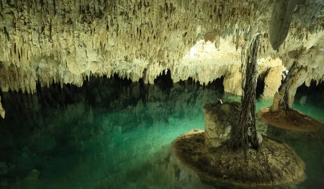  El Sistema Sac Aktun tiene el récord Guinness de sistema de cueva sumergida más larga del mundo. Foto: página oficial de Cenotes Sac Actu    