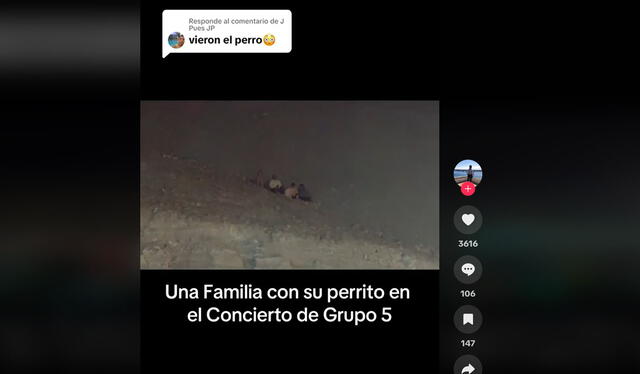  Clip generó varias reacciones en redes. Foto: manuelalexisgomez/ TikTok   