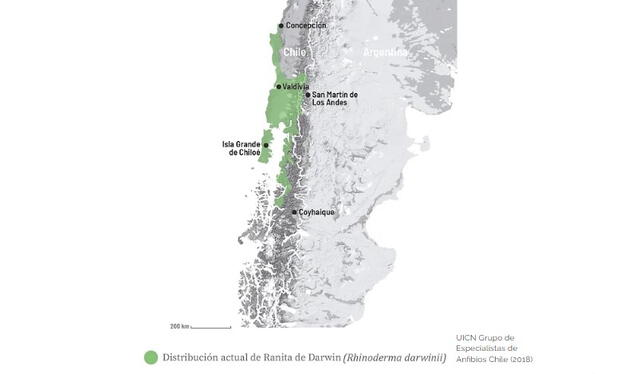 Distribución geográfica de la ranita de Darwin en Chile. Foto: ranitadedarwin.org   