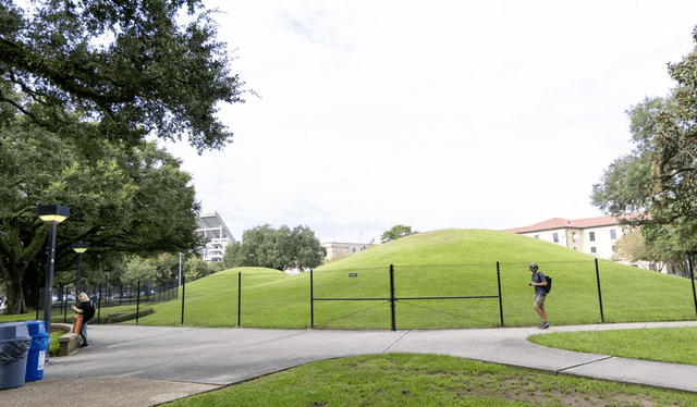  Las colinas investigadas se encuentran en el campus de la Universidad de Luisiana. Foto: LSU Reveille   