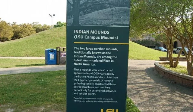  La aparición de las colinas en la Universidad de Luisiana fue contemporánea a una crisis climática. Foto: LSU Reveille   