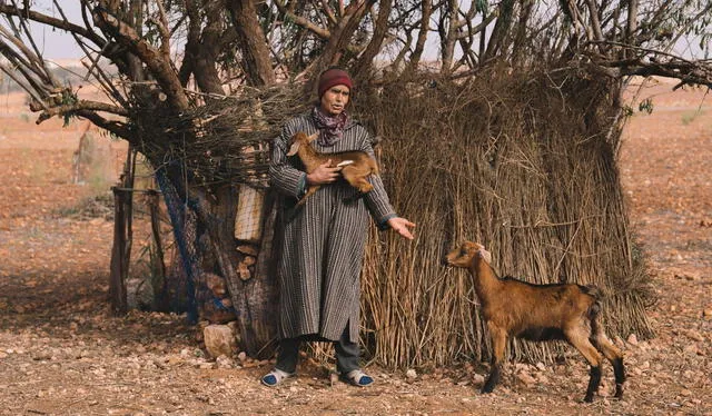  Los pastores le enseñan a sus cabras a trepar los árboles. Foto: Erika Hobart   