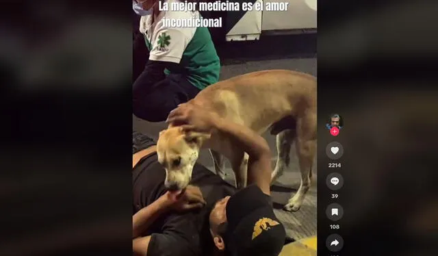 Video conmovió a cibernautas. Foto: captura de TikTok    