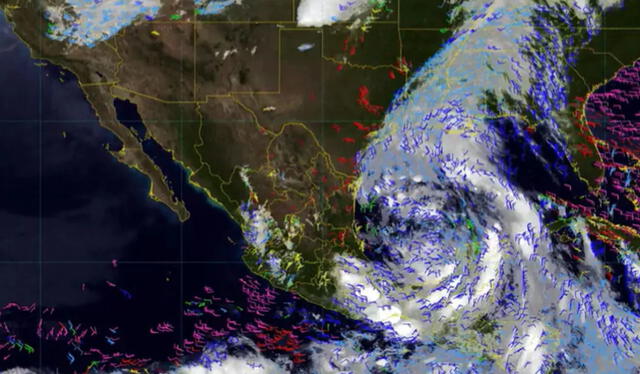  Tormenta Tropical Alberto se formó en el Golfo de México. Foto: Marca   