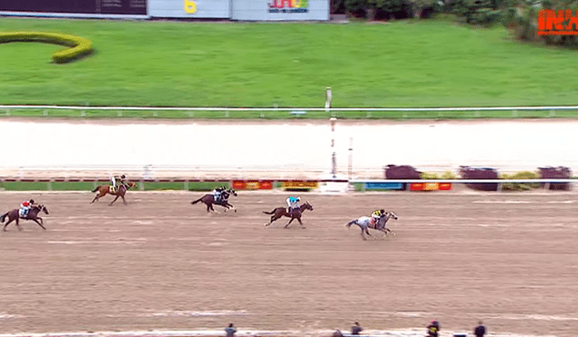 Essencial White se llevó la primera carrera en el Hipódromo La Rinconada. Foto: INH   