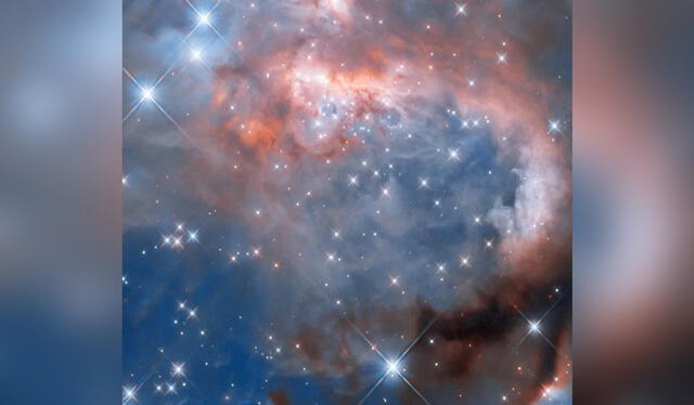 Fotografía completa de la nebulosa RCW 7 tomada por el telescopio Hubble. Foto: NASA/ESA   