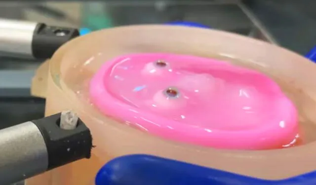 Cara robótica rosada con una capa de dermis y silicona. Al deslizar esta última, se produce el efecto de sonrisa. Foto: Cell Reports   