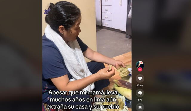 Clip generó que varios usuarios recuerden sus lugares natales. Foto: TikTok   