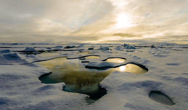  El color del agua en el océano Ártico ha pasado a tener tonos verdosos. Foto: El Periódico de España   