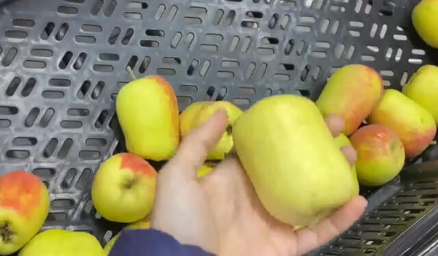  La influencer argentina quedó impresionada al ver por primera vez a la manzana Israel por su peculiar forma. Foto: captura de pantalla del canal La Neta en viaje.   