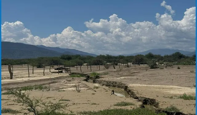  En Tamaulipas, parte de su geografía incluye regiones semiáridas y desérticas, especialmente en el norte. Estas áreas son conocidas por sus paisajes áridos y su flora adaptada a las condiciones secas. Foto: Gobierno de Tamaulipa 