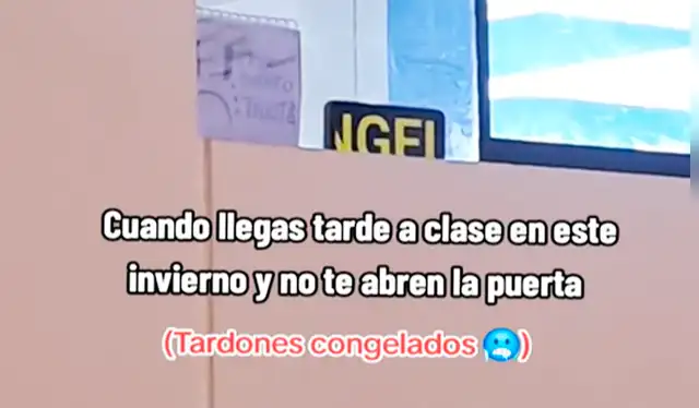 Las imágenes sacaron miles de sonrisas a los usuarios en las redes sociales. Foto: composición LR/TikTok   