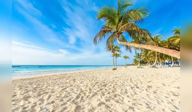  Tulum es una playa ubicada en México. Foto: Oasis Hotels &amp; Resorts   