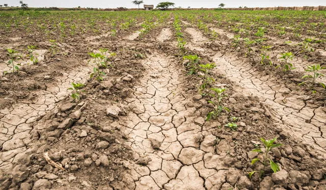  la disponibilidad de este recurso disminuye debido a los cambios climáticos. Foto: Rotoplas Argentina   