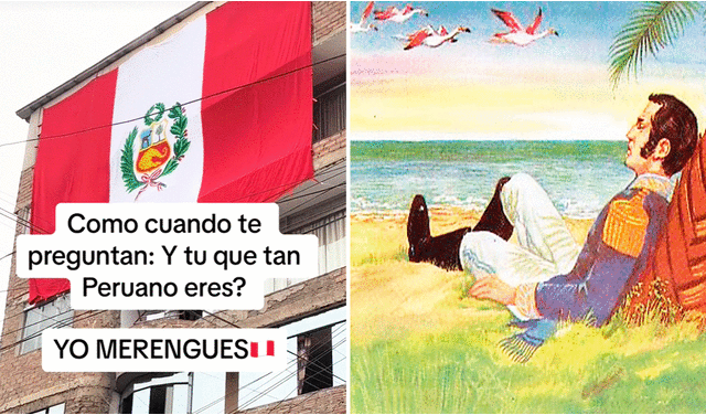 Los usuarios aplaudieron el gran amor hacia el país, pero recomendaron no usar el escudo del Perú. Foto: composición LR/TikTok   
