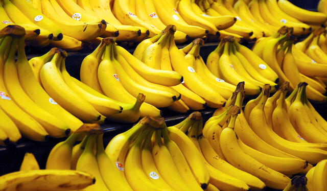 Rusia representa el mayor comprador de banano en Ecuador. Foto: Wikipedia   