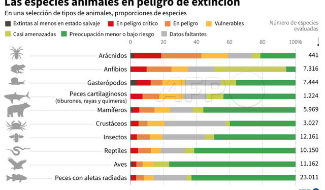 La Lista Roja de la Unión Internacional para la Conservación de la Naturaleza (UICN) fue creada en 1964 y clasifica las especies en ocho categorías de amenaza. Foto: AFP   