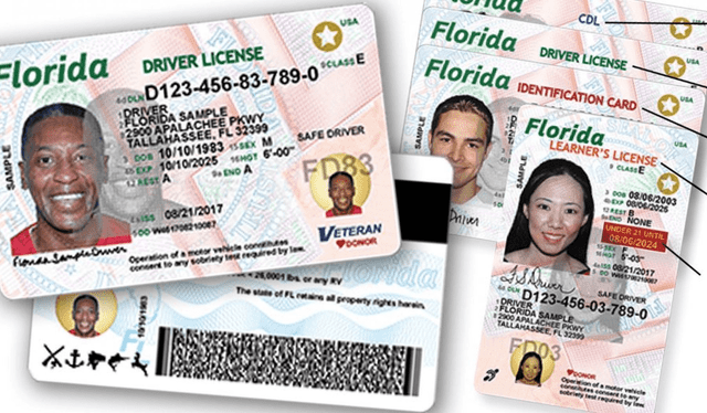  Existirán algunos cambios en la licencia de conducir en Florida. Foto: Telediario   