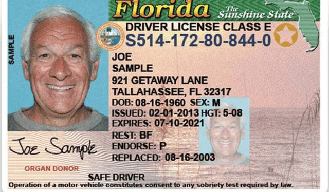  Trámitar la licencia de conducir en Florida cuesta 48 dólares. Foto: flhsmv.gov   