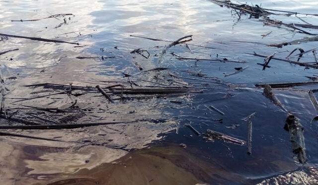  Estado del río Marañón el miércoles 21 de setiembre de 2014, cinco días después del reporte de un nuevo derrame de petróleo en la quebrada Cuninico. Foto: Julio Arirúa, líder kukama   