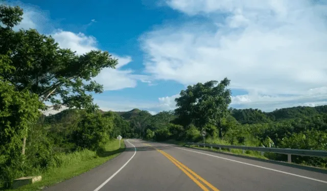  Carretera en la selva. Foto: Andina    