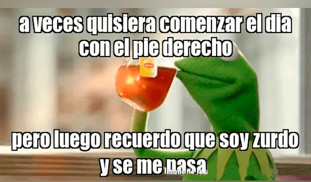  Los memes sacaron miles de sonrisas en las redes sociales. Foto: composición LR/X    