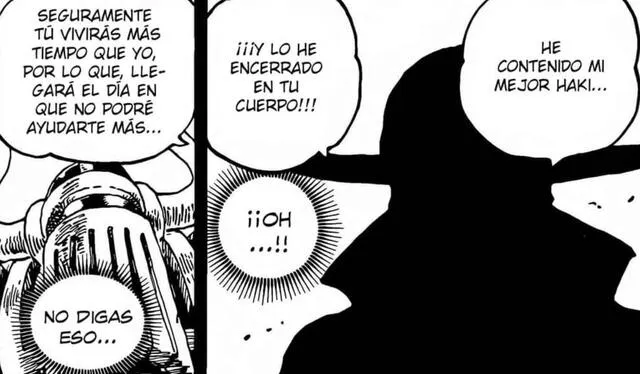  El capítulo 1123 de ‘One Piece’ revelará muchas preguntas que los fanáticos deseaban resolver. Foto: Manga Plus    