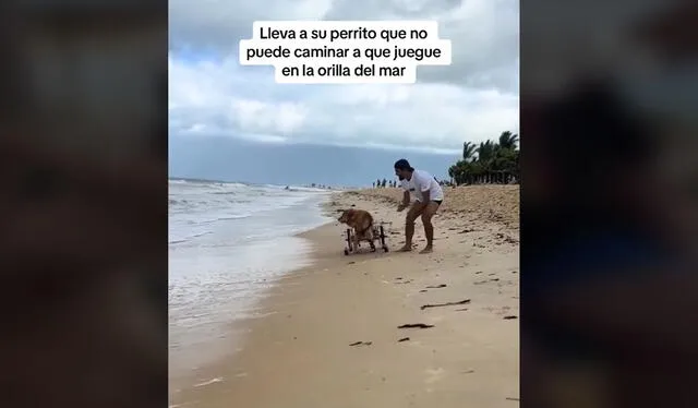 Clip es viral. Foto: TikTok    