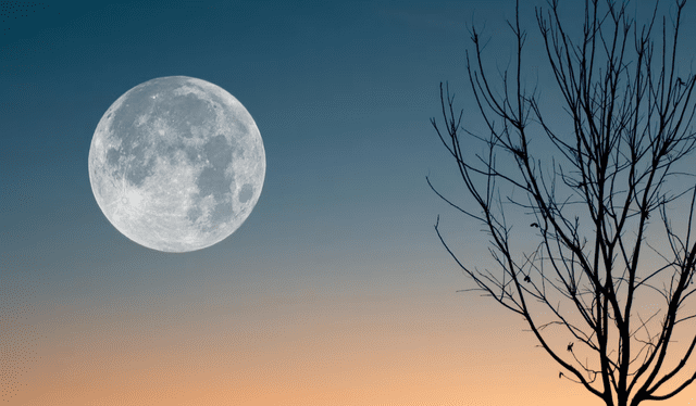  La superluna azul coindice con la superluna de esturión, volviéndolo un evento aún más atractivo. Foto: Pexels   