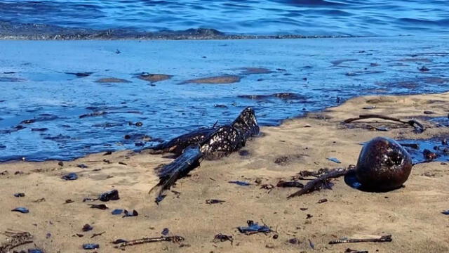 Playas al este de Venezuela en anteriores derrames de petróleo en la zona. Foto: Youtube   