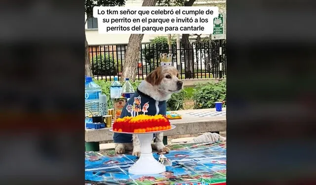 Doguito celebró su cumpleaños con perritos del parque. Foto: TikTok    