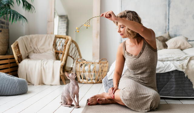  Las personas comparten diversas actividades con sus mascotas y necesitan espacios suficientes para compartir. Foto: Freepik   