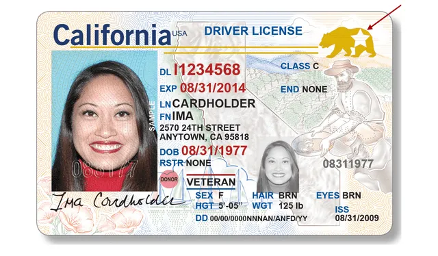  La Real ID cuenta con una estrella en la parte superior derecha, volviéndolo un documento autentico. Foto: California DMV   