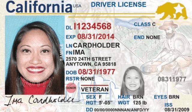  A partir del 7 de mayo de 2025, la Real ID será el documento que necesitarás para viajar a California y Estados Unidos. Foto: FOX40   