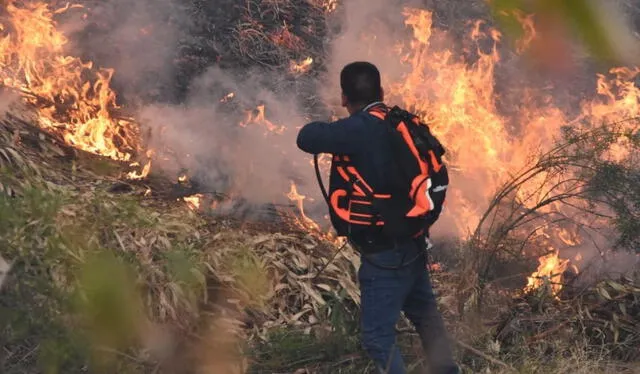 Peligro extremo en la selva, costa y sierra del Perú