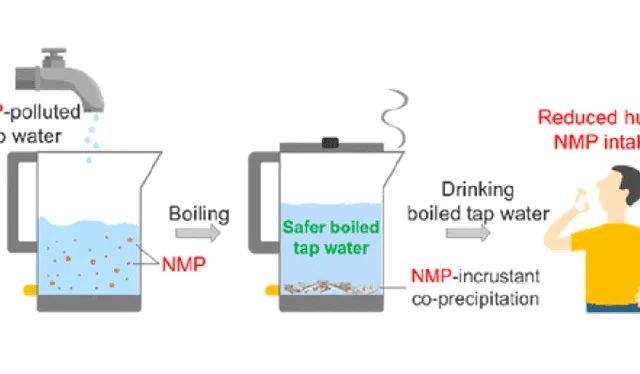 El estudio afirma que beber agua de grifo hervida reduce la ingesta de nanoplásticos. Foto: Zimin Yu et al.   