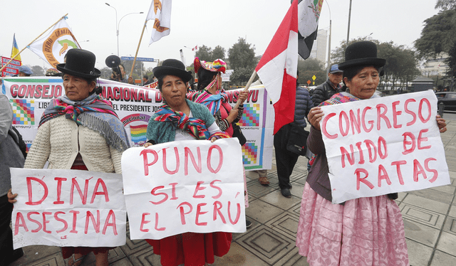 La PNP recibe 13 veces más presupuesto para enfrentar los conflictos sociales y las protestas, que para enfrentar a la minería ilegal. Foto: La República   