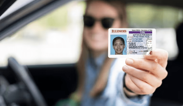  Las licencias de conducir en Illinois para inmigrantes cuentan con similitudes de una Real ID; sin embargo, no cuentan con las mismas funciones. Foto: Freepik   