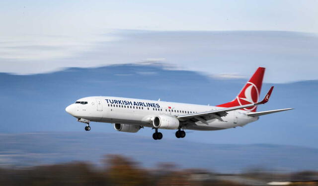 La aerolínea Turkish Airlines ha sido elegida en varias oportunidades como una de las mejores del mundo. Foto:   