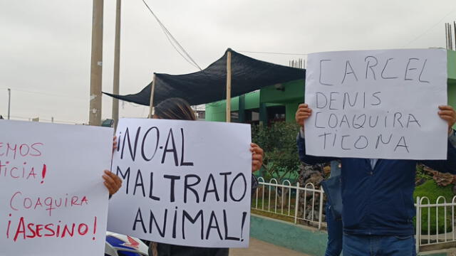 Vecinos denuncian desaparición de mascotas sin dueño. Foto: Liz Ferrer/La República   