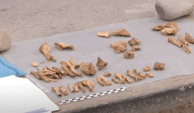 Este descubrimiento podría ampliar el conocimiento sobre la cultura Lima y su extensión territorial, revelando prácticas culturales que permanecían desconocidas hasta ahora. Foto: difusión   