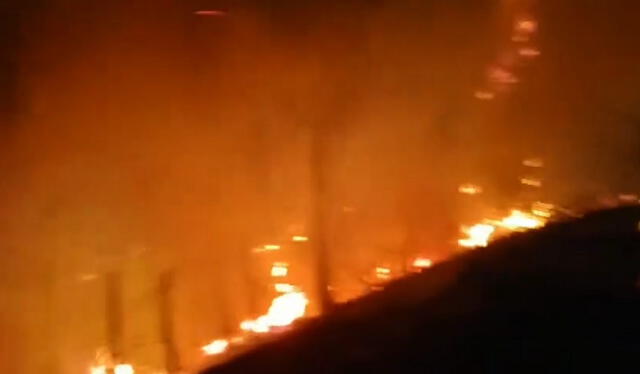  incendio forestal cobró dos víctimas. Foto: Ayabaca noticias    